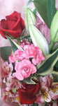 20110329204838.jpg