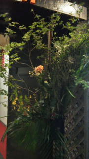 20110625222225.jpg