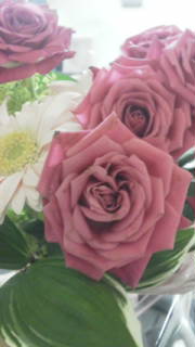 20110703161552.jpg