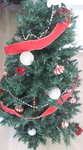 20111113135129.jpg