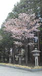 20110514144745.jpg
